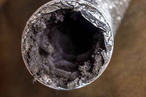 Best Affordable Air Duct Cleaning  in Bowie, TX